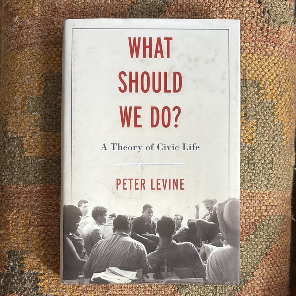 What Should We Do? Book by Peter Levine
